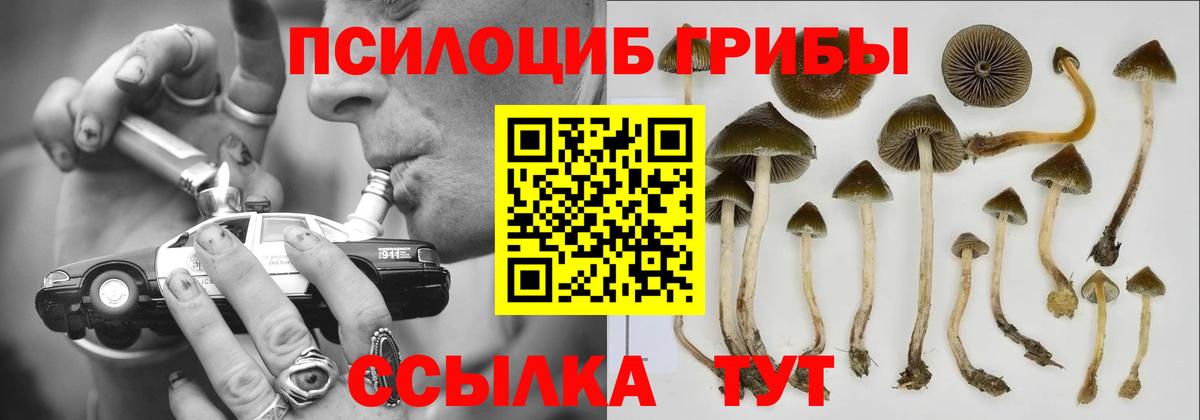 Псилоцибиновые грибы MAGIC MUSHROOMS  Вход с VPN  Выборг 